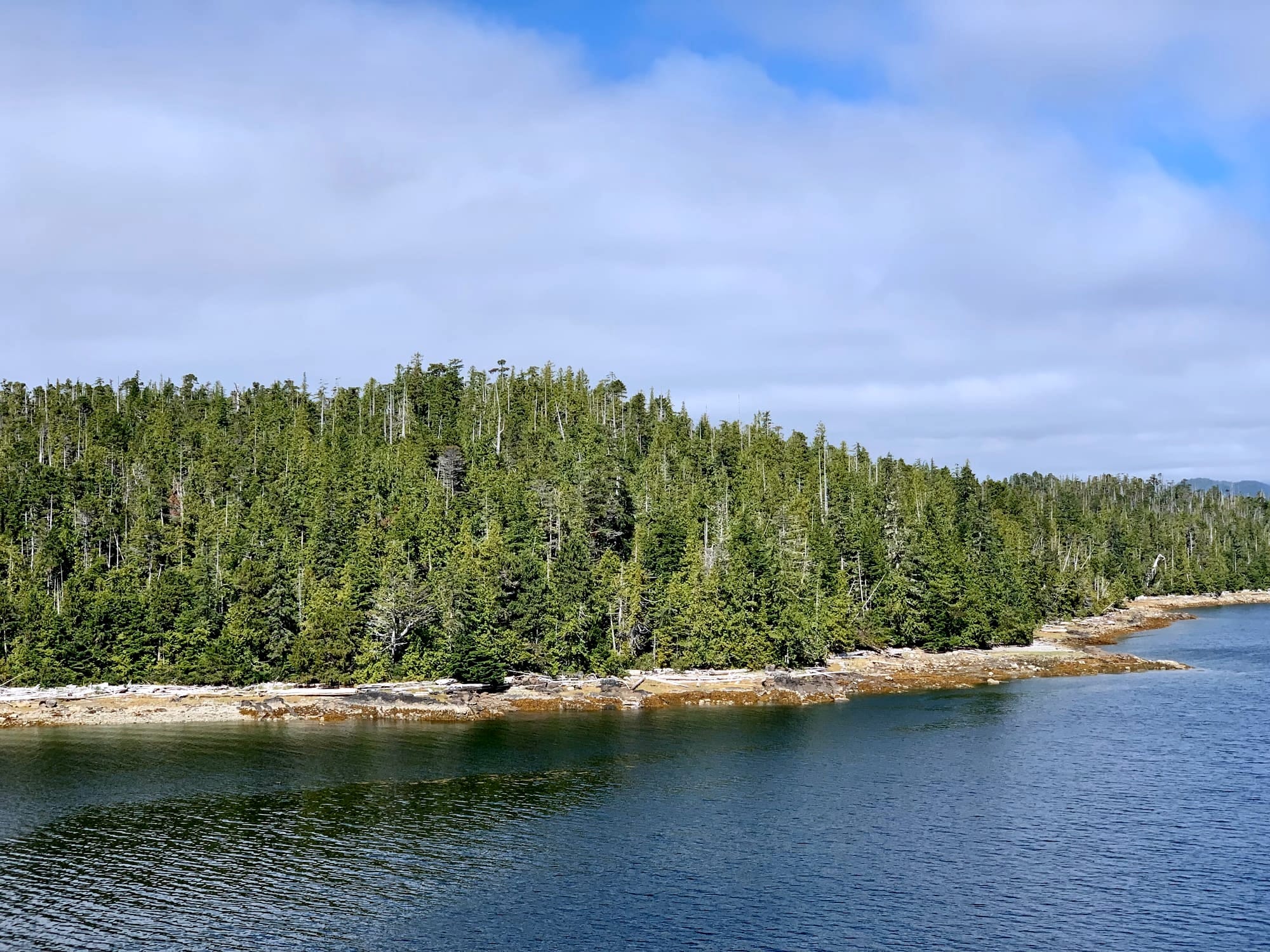Storm Lines and Story Lines: Learning Relational Resilience from Haida Gwaii
