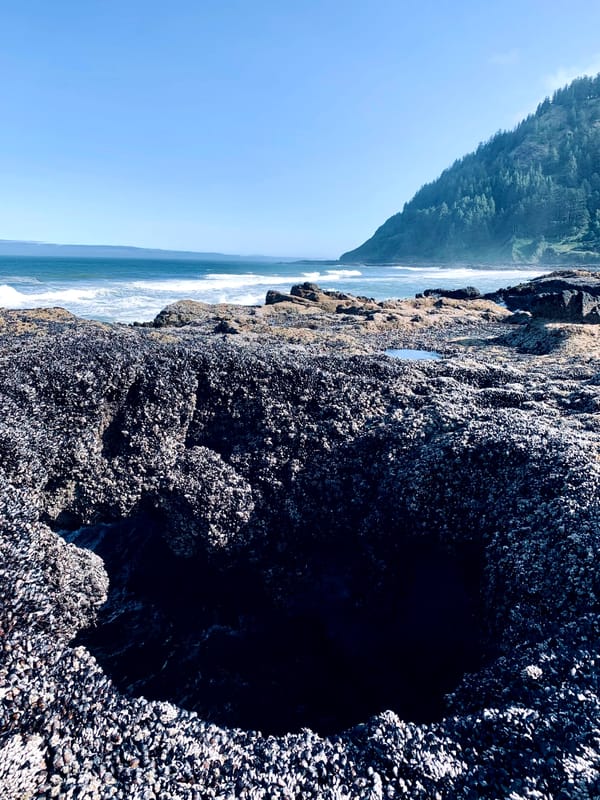 A Parallelogram of Crisis and Connection: Oceans, Climate, AI, and Human Nature