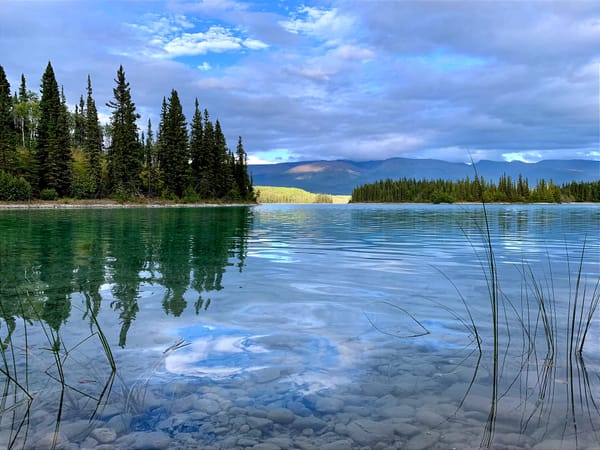 The Question, Asking Itself Through Many Beings